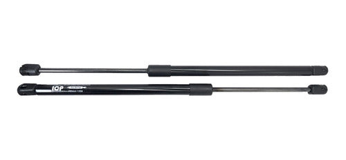 Juego Amortiguadores Vidrio Compuerta Pathfinder R50