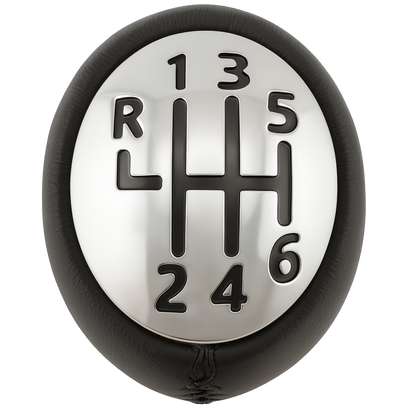 Pera O Pomo Renault Duster 2.0 Cuero Sint&#233;tico