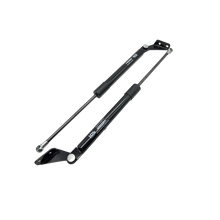 Juego Amortiguadores Baul Nissan Tiida Hatchback