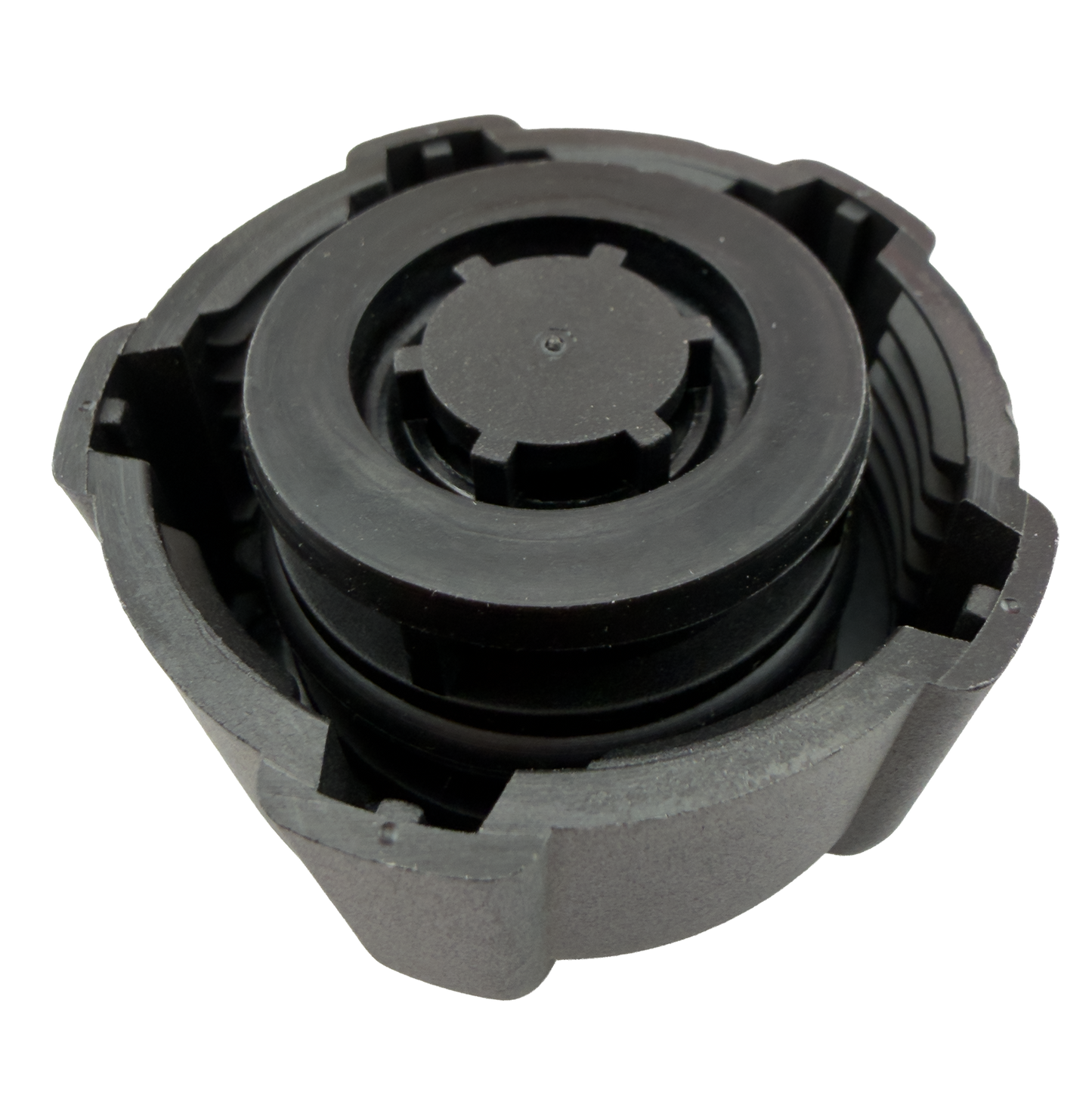 Tapa Deposito Refrigerante Renault Megane 1999-2009