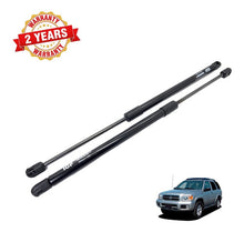 Juego Amortiguadores Vidrio Compuerta Pathfinder R50